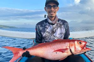 a9aa72ce-6b71-41f2-a33e-4ef746083591