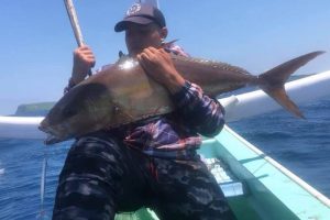 cb046622-fe6a-48cc-a3b0-58468d9a8d83