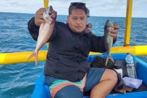 d404433e-a3b3-44ad-9f12-0af81760192c